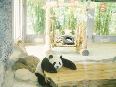 -海南热带野生动植物园