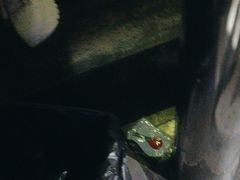 -加州红歌声宴KTV(白石洲店)