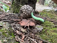 -玉渡山自然风景区