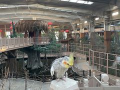 -南宫五洲植物乐园