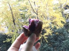 -馋嘴诱惑