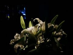 -云之南(八里庄店)