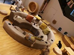 -啵啵喵·猫咖(攀华国际店)