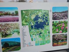 -石家庄市植物园