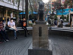 -涩谷区