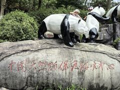 -都江堰中华大熊猫苑
