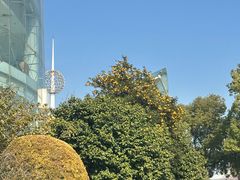 -浙江大学(紫金港校区)