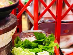 -沙胆彪炭炉牛杂煲(成都玉林店)