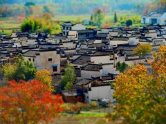 -塔川景区