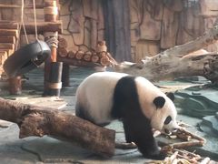 -泉州海丝野生动物世界