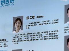 -北京观赏动物医院·24小时大型综合·猫专科·异宠专科
