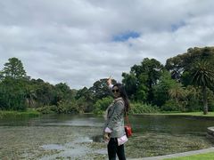 -墨尔本皇家植物园