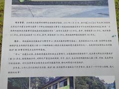 -野象谷景区