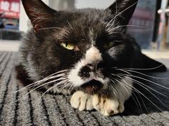 -锦江之星(辽宁朝阳火车站店)