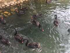 -长白岛森林公园