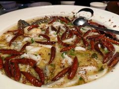 -首秀·四川料理(吾悦广场店)