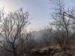 -灵山