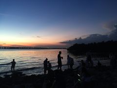 -宝安西湾红树林湿地公园