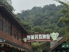 -野象谷景区