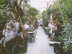 -The Grounds of Alexandria