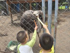 -长白岛森林公园