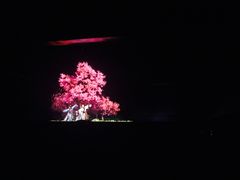 游乐设施-郑州方特梦幻王国