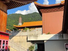 -深圳仙湖植物园