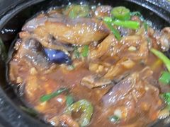 -烧鹅妹饭店