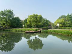 -西溪国家湿地公园