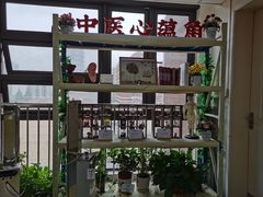 -上海市杨浦区中医医院