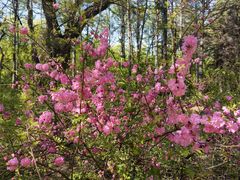 -长春市南湖公园