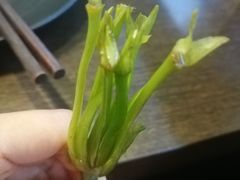 -老诚一锅羊蝎子(黄寺大街店)
