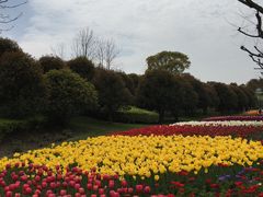 -上海鲜花港
