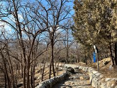 -阳台山自然风景区