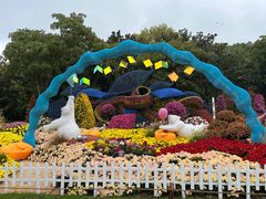 -上海共青森林公园