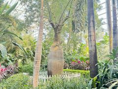 -祥源·阜阳生态乐园