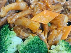 鹅掌扣蹄筋（例）-老字号蛇口德记烧腊饭店·海鲜加工