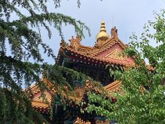 -华西村