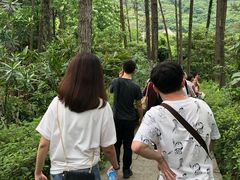 -福清灵石山国家森林公园