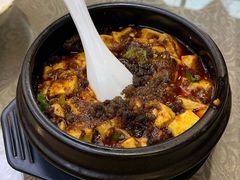-陈麻婆豆腐总店