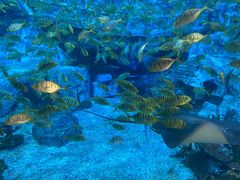 -横店影视城梦幻谷园区