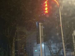 -华中科技大学同济医学院附属同济医院(汉口院区)