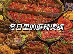 -黄家码头老火锅(解放碑旗舰店)