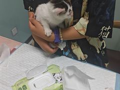 -嘉馨宠物医院·CT影像转诊·心脏科·犬猫全科诊疗中心(下沙大学城院区)