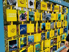 -广东惠东海龟国家级自然保护区