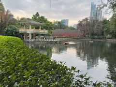 -晓港公园