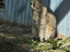 -青藏高原野生动物园