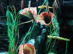 -沈阳海洋探索中心