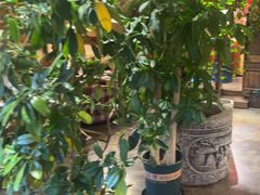 -慢丽江·云南野生菌土鸡锅(付家庄店)