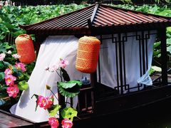 -北陵公园